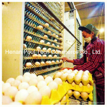 Máquina Automática de Coleta de Ovos